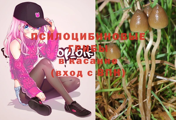 кристаллы Иннополис