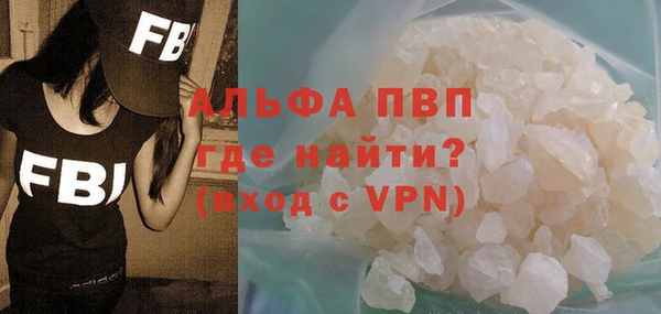 мдпв Инсар