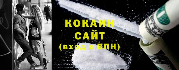 мдпв Инсар