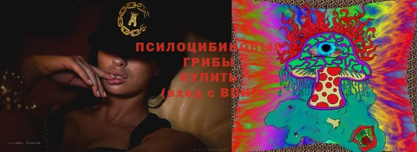 мдпв Инсар