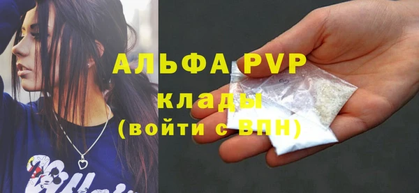 мдпв Инсар