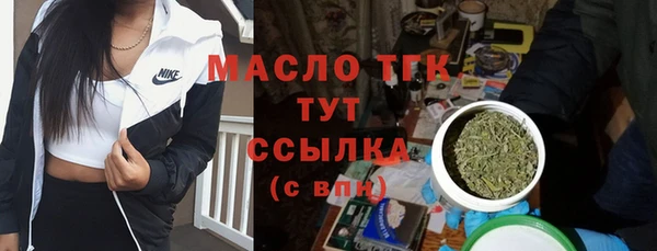 мдпв Инсар