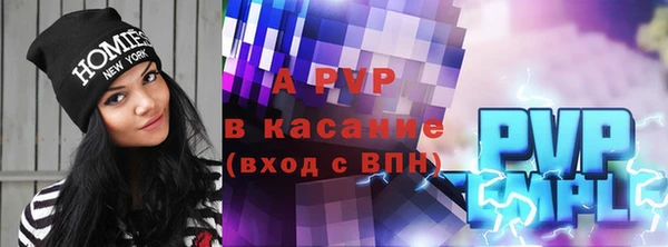 ПСИЛОЦИБИНОВЫЕ ГРИБЫ Инта
