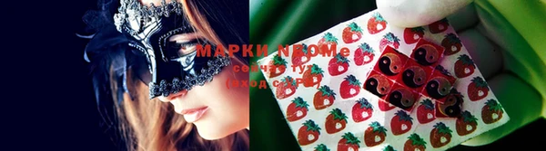 ПСИЛОЦИБИНОВЫЕ ГРИБЫ Инта