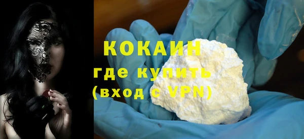 мдпв Инсар