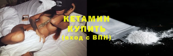 мдпв Инсар