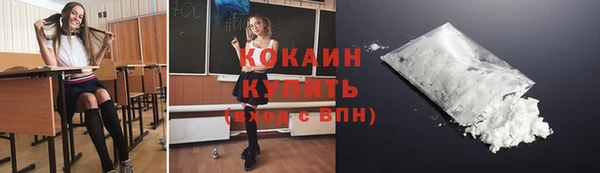 мдпв Инсар