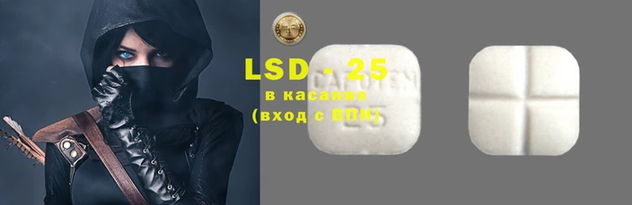 ПСИЛОЦИБИНОВЫЕ ГРИБЫ Инта