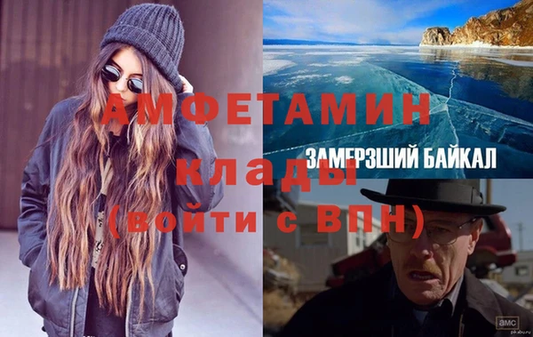 мдпв Инсар