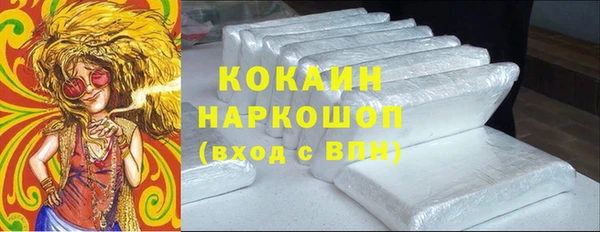 ПСИЛОЦИБИНОВЫЕ ГРИБЫ Инта