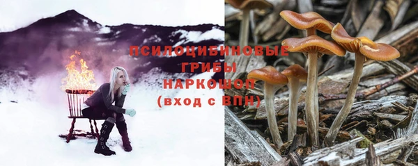 мдпв Инсар