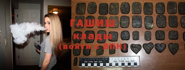 мдпв Инсар