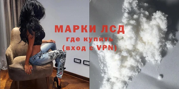 ПСИЛОЦИБИНОВЫЕ ГРИБЫ Инта