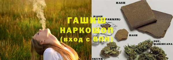 мдпв Инсар