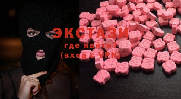 мдпв Инсар