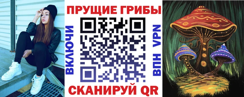 Псилоцибиновые грибы мицелий  Купить где  Спасск-Рязанский 